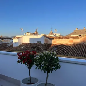 Atarazanas Suite, Atico Con Terraza Apartment